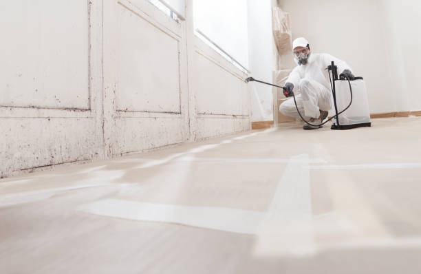 24/7 Emergency Attic Mold Removal experts in Portage, PA